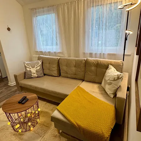 Harzgemuetlichkeit Fuer 2 Personen Und Haustier - Altenau! Appartement *