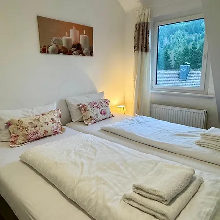 Appartement Harzgemuetlichkeit Fuer 2 Personen Und Haustier - Altenau!
