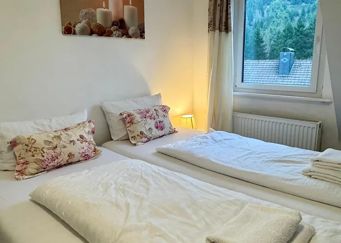 Appartement Harzgemuetlichkeit Fuer 2 Personen Und Haustier - Altenau!